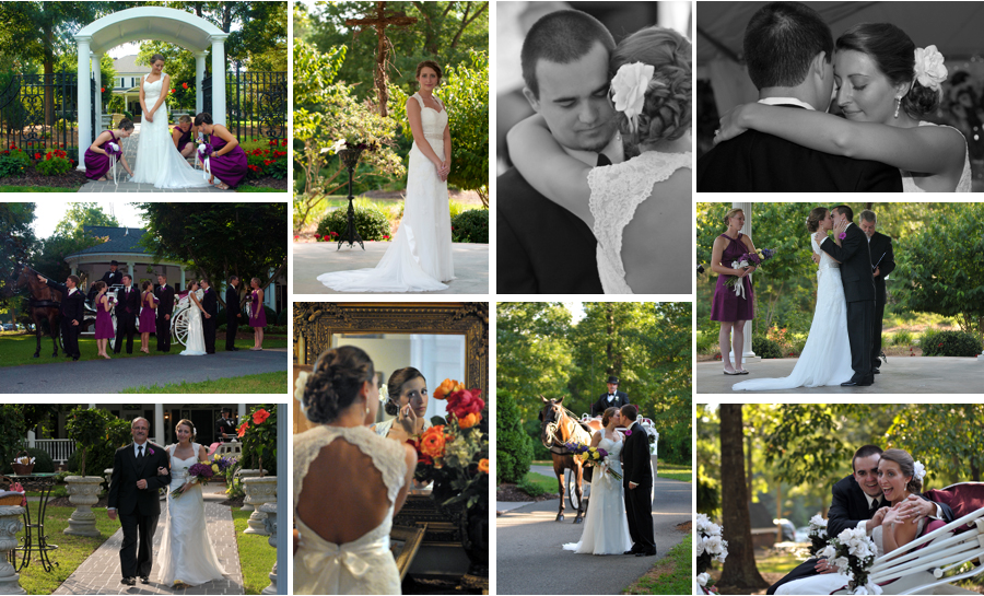 Wedding Collage david