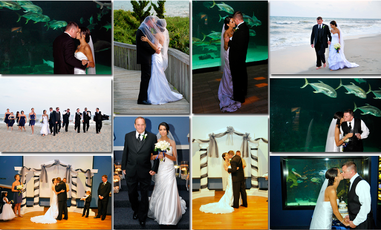 North Carolina Aquarium Wedding