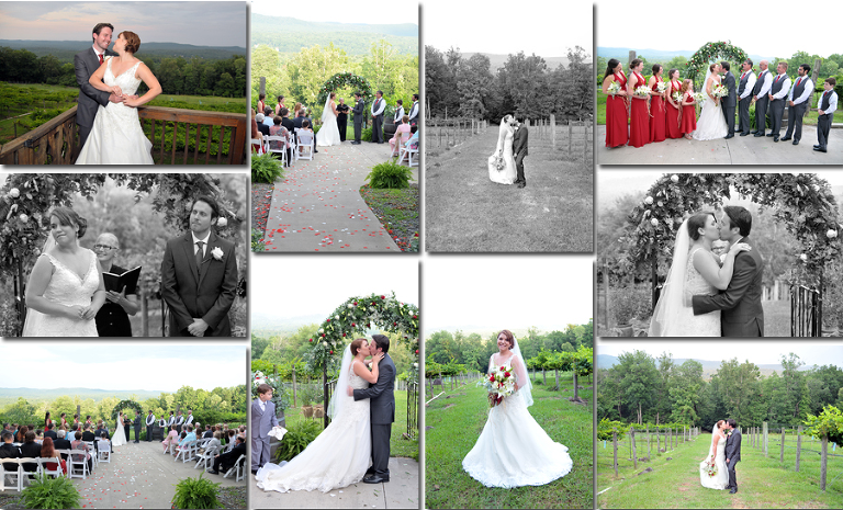 Stony Mountain Vineyards Wedding